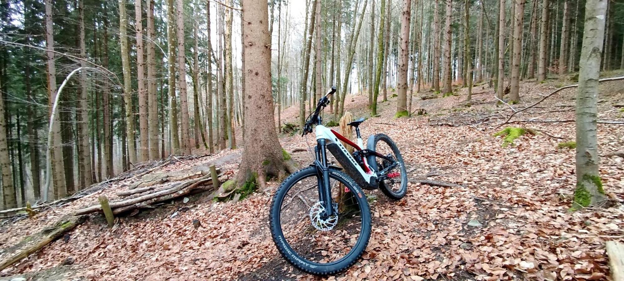 Ferienwohnung Hecht - Biketrail Fun & Relaxing Wolfegg Exteriör bild